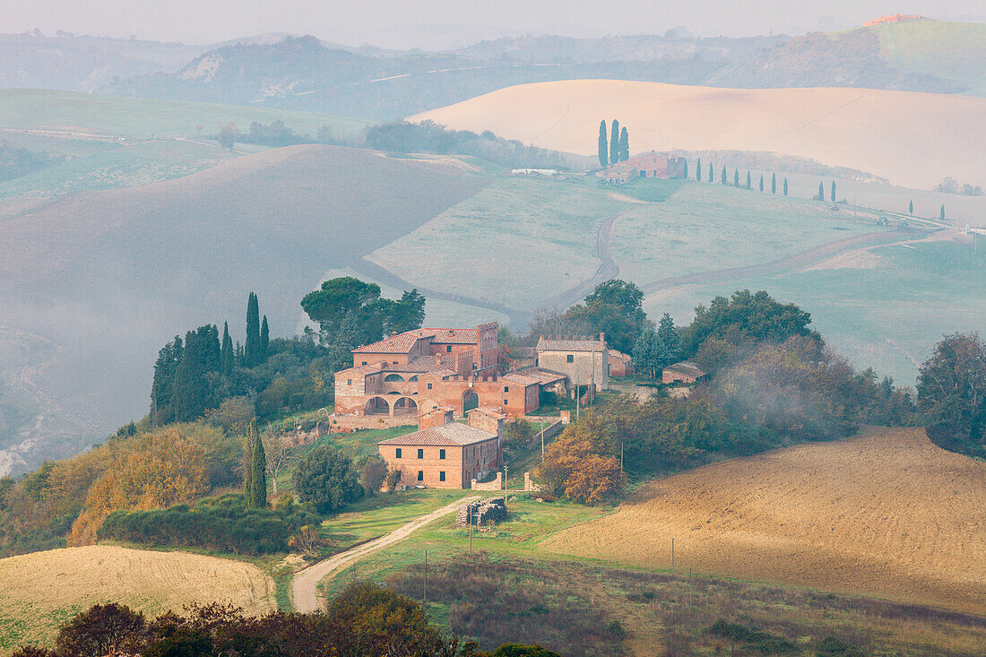 country estate, cottage, cypresses, fog, Crete Senesi, near Asciano, Tuscany, Italy, Europe