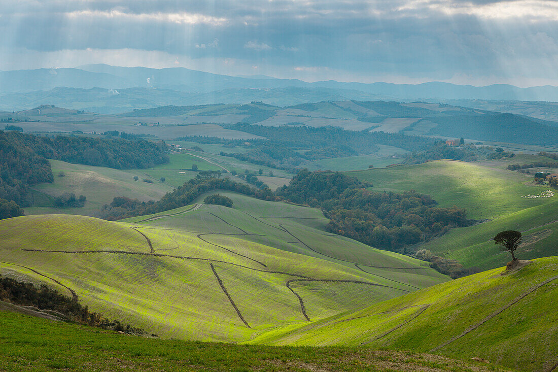 Hügellandschaft bei Volterra, Toskana, Italien, Europa