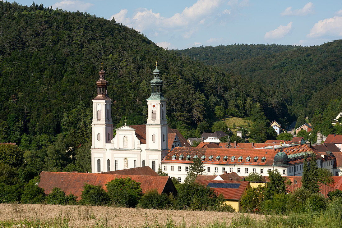 Blick zum Kloster Pielenhofen in Pielenhofen im Naabtal, Niederbayern