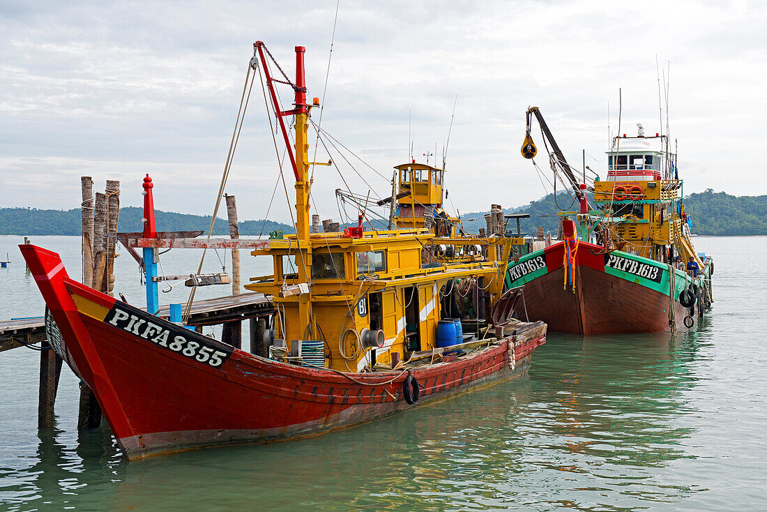 Fish are transported from fishing boats to a fish factory on Pangor Island, Malaysia