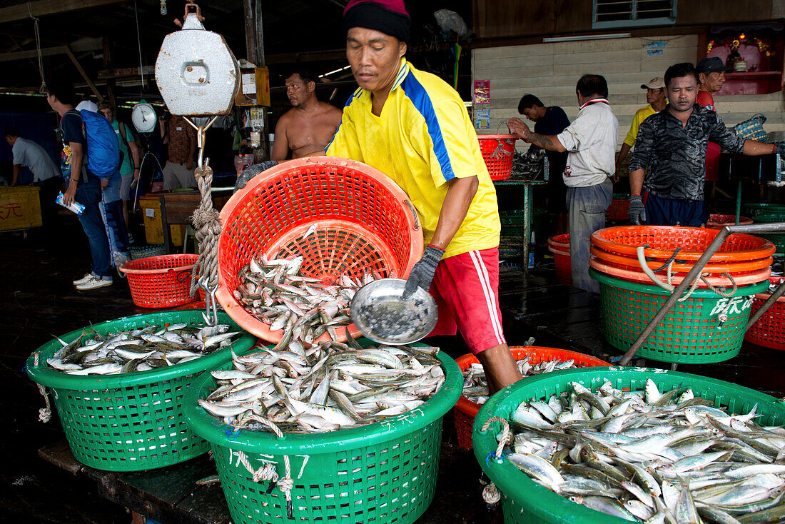 Arbeiter in einer Fischfabrik auf Pangor Island, Malaysia