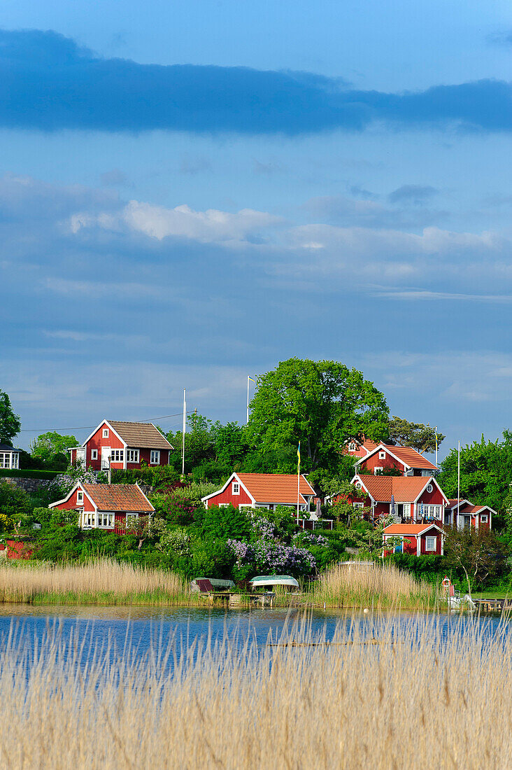 Typical red white wooden houses holiday houses, Karlskrona, Blekinge, Southern Sweden, Sweden