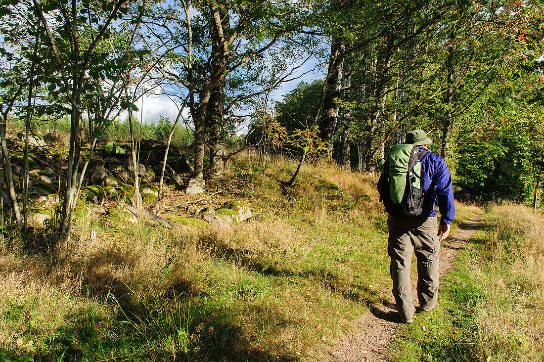 Landscape and hikers near Hackeberga, Skaneleden trail, forest Hackeberga, Skane, Southern Sweden, SwedenSüdschweden, Schweden