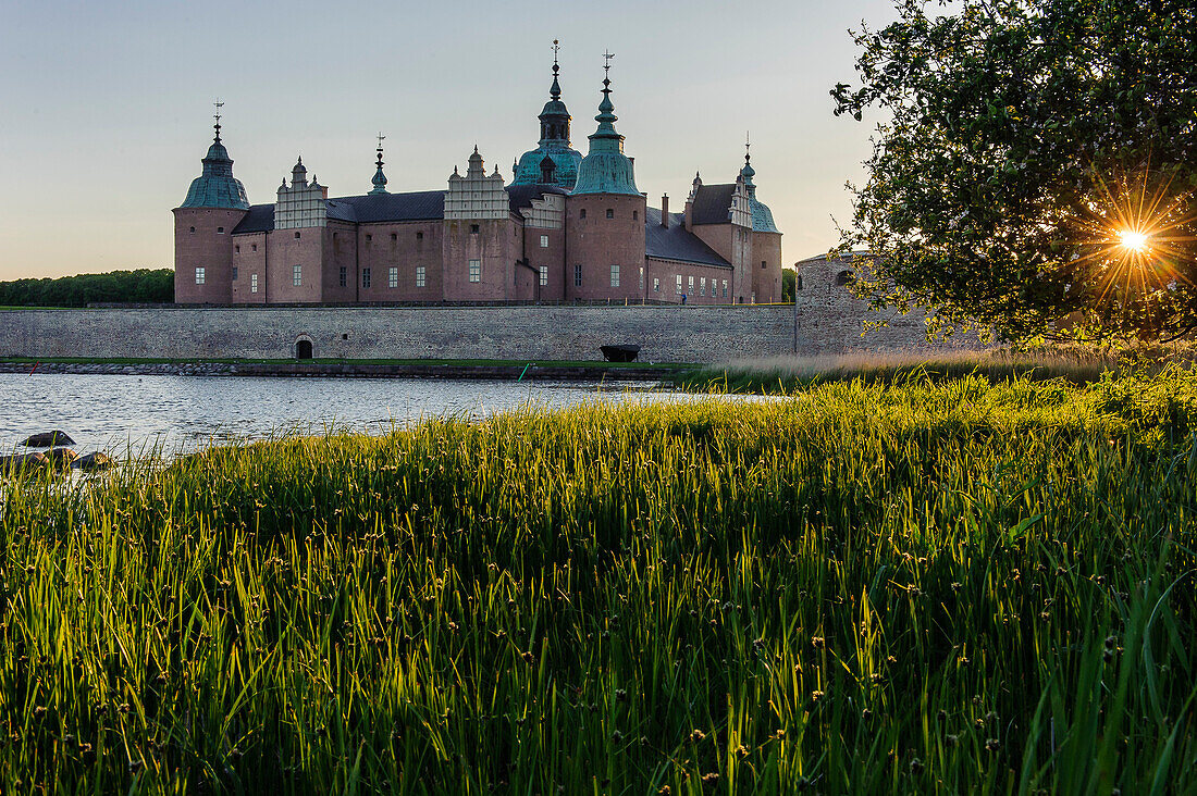 Kalmar castle with green reeds in the foreground, Schweden