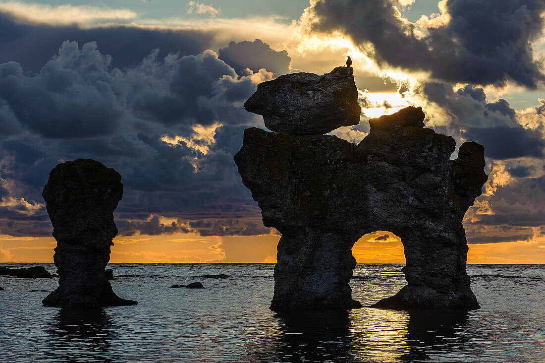 Rock coast Faroe called Raukar, Raukar are up to over 10 meters high limestone pillars found on Gotland / Faroe Island., Schweden