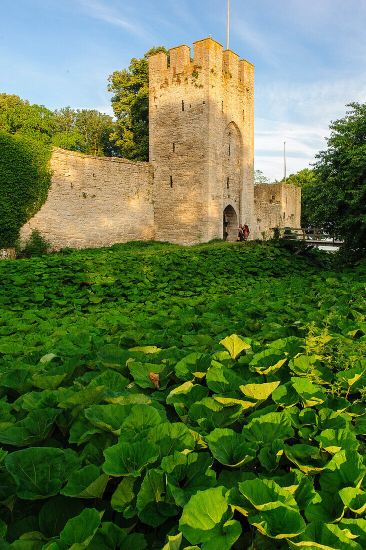 Stadtmauer mit Turm der Altstadt von Visby , Schweden