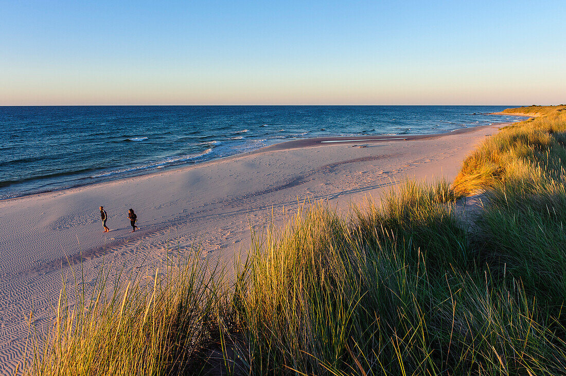 Breiter Sandstrand mit Spaziergänger  auf Gotska Sandoe, Die Insel  /Nationalpark liegt in der Ostsee  nördlich der Insel Gotland , Schweden