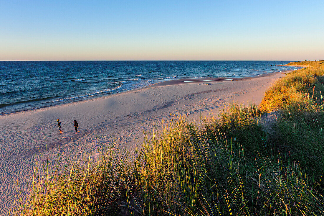 Wide sandy beach with walkers on Gotska Sandoe, the island / national park lies in the Baltic Sea north of the island Gotland., Schweden