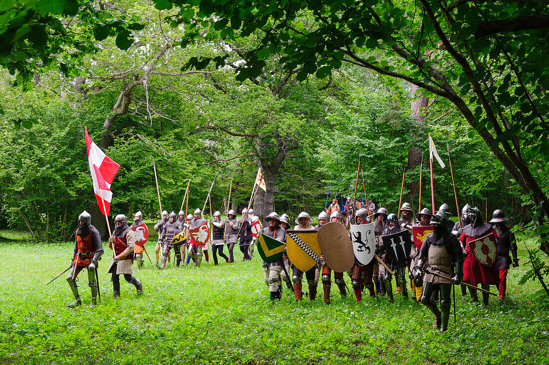 Medieval party battle show in front of Visby, Schweden