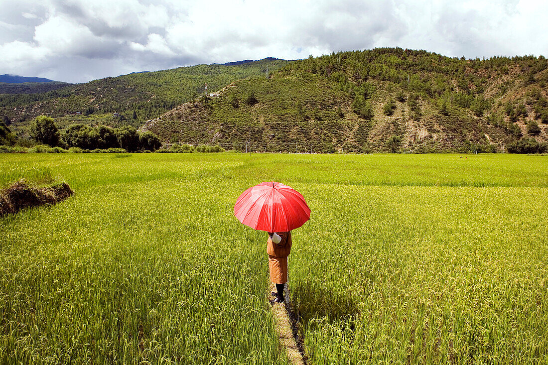 Asian woman holding red umbrella in field