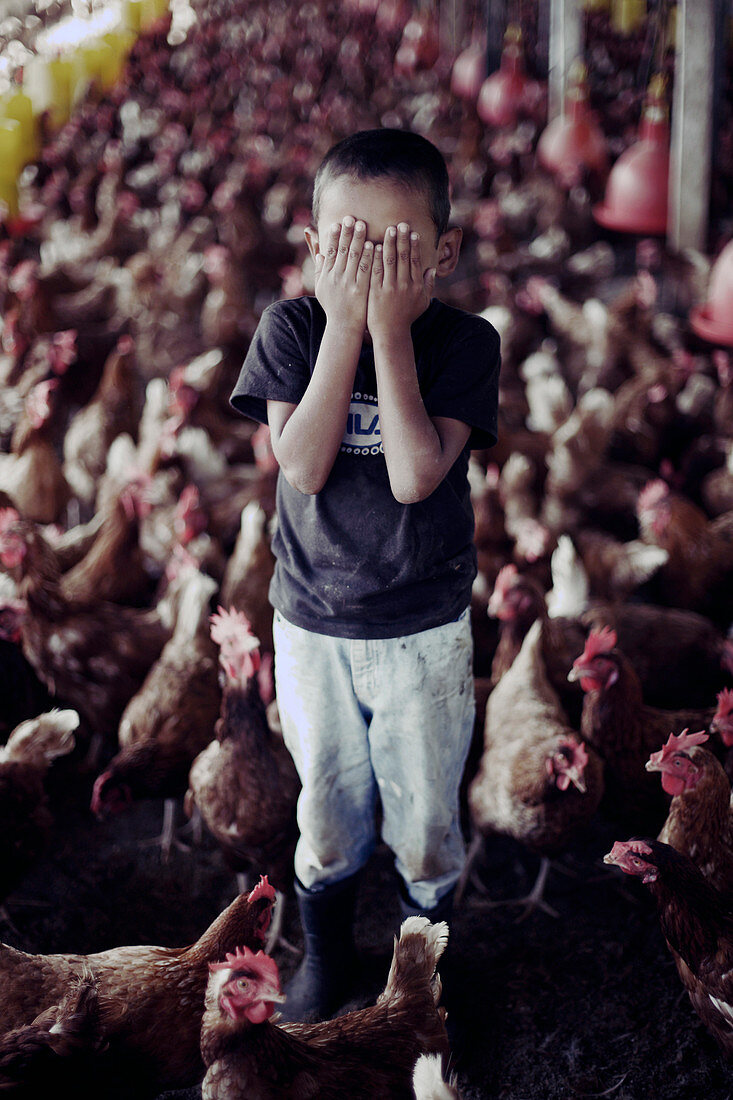 Boy covering eyes standing in chicken coop