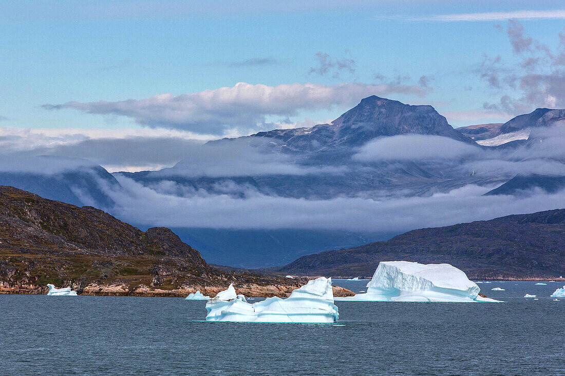 icebergs in the fjord of narsaq, greenland