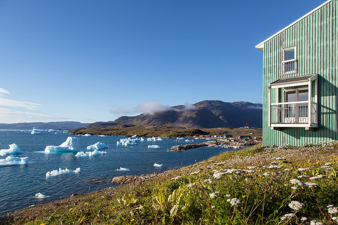arctic landscape with the flora, the icebergs floating in the fjord and the colourful wooden houses, narsaq bay, greenland