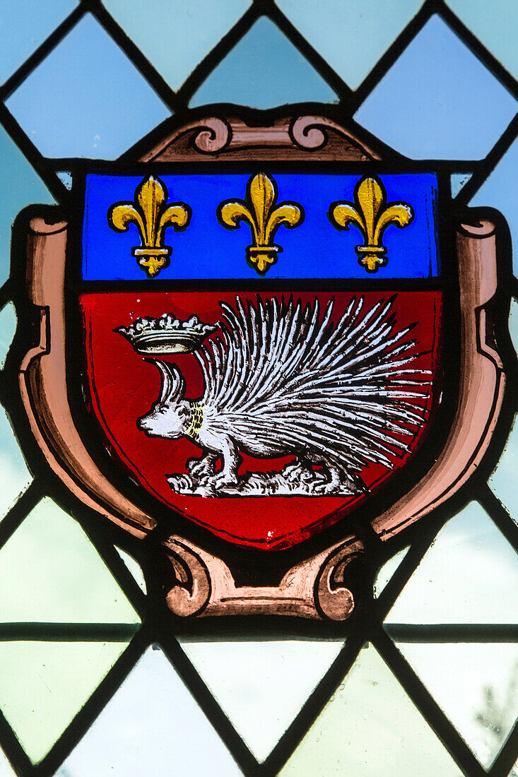 emblem of louis xii, king of france, the chateau of nogent-le-roi (28), france