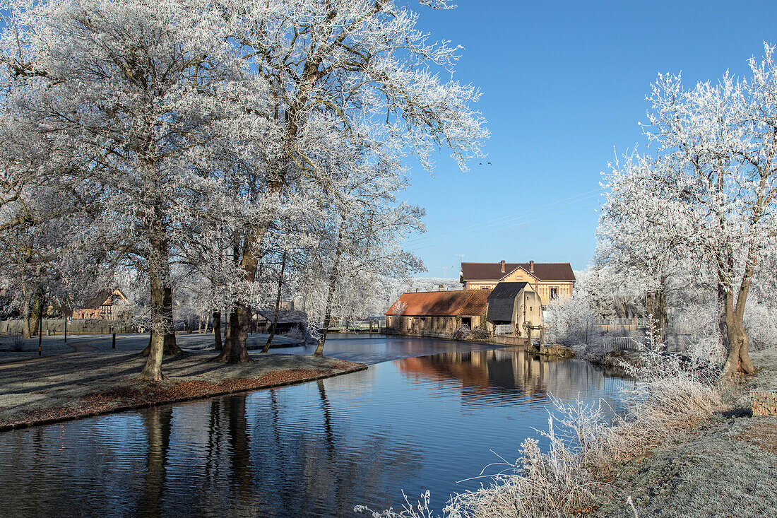 watermill of the fenderie (former forge) on the banks of the risle river, frost in the white trees of winter, rugles (27), france