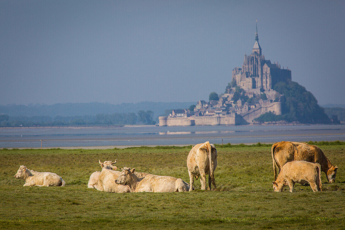 the bay of mont-saint-michel (50), france