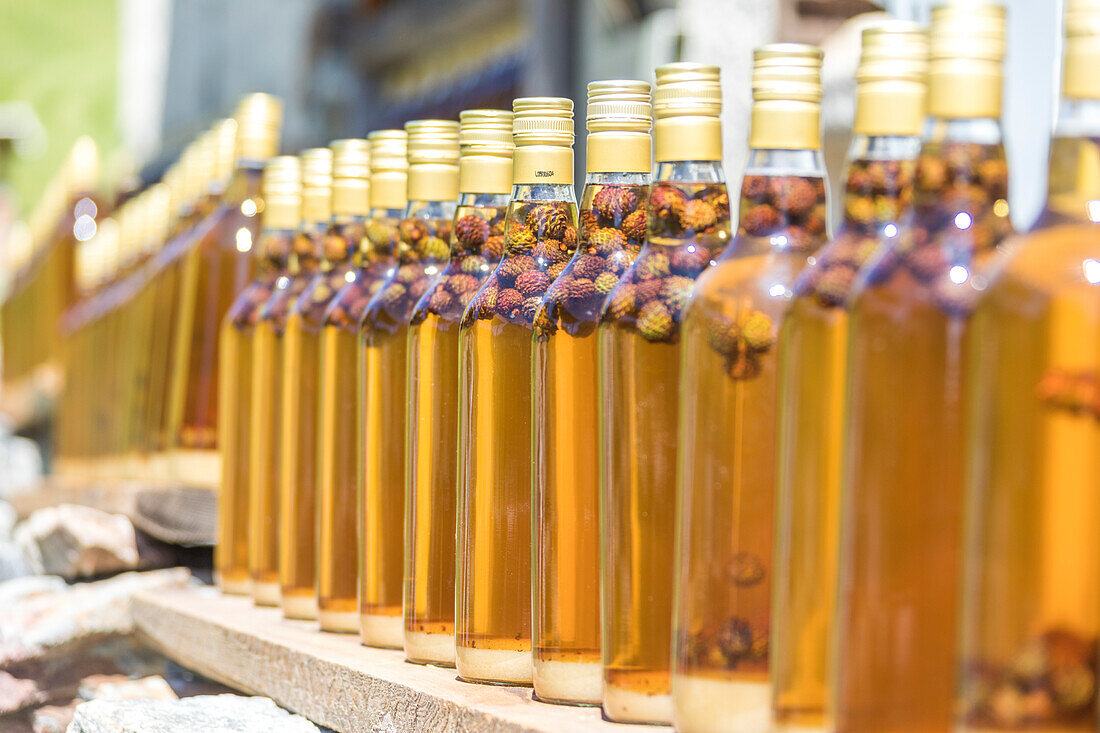 Details of bottles of grappa, a typical liquor, San Romerio Alp, Brusio, Canton of Graubunden, Poschiavo Valley, Switzerland, Europe
