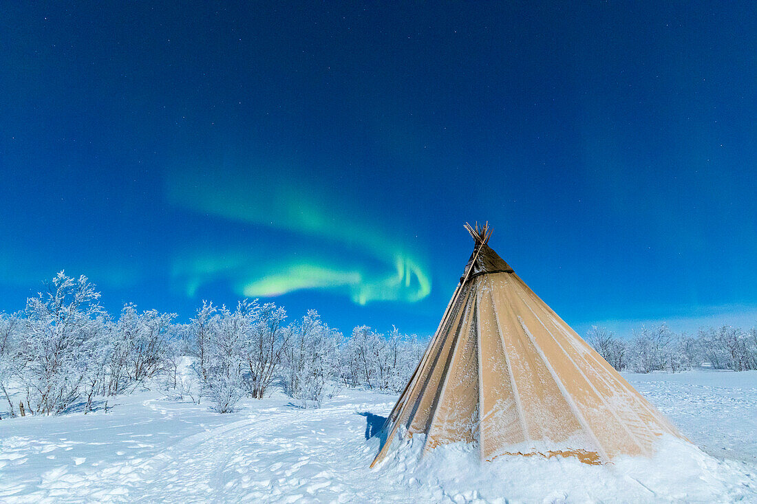 Isolated Sami tent in the snow under Northern Lights (Aurora Borealis), Abisko, Kiruna Municipality, Norrbotten County, Lapland, Sweden, Scandinavia, Europe