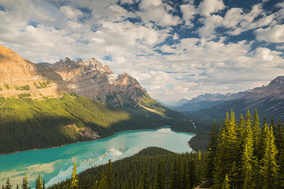 Wide view of Peyto Lake, Banff National Park, UNESCO World Heritage Site, Alberta, Rocky Mountains, Canada, North America