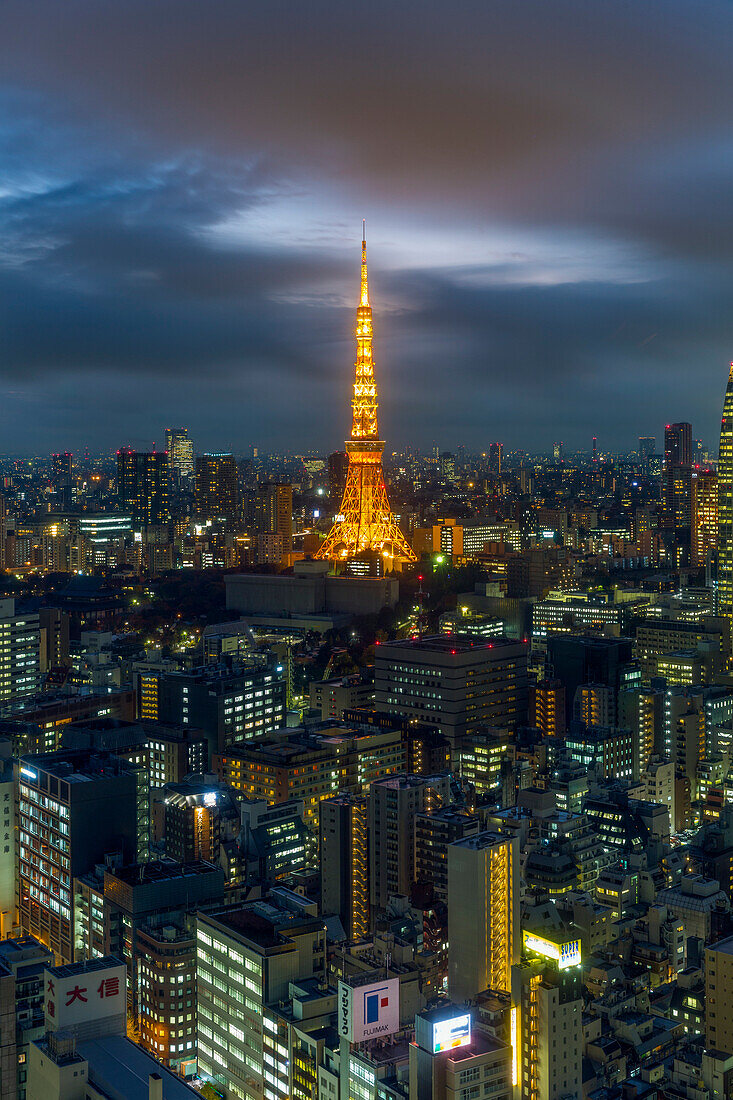 Elevated night view of the city skyline and iconic illuminated Tokyo Tower, Tokyo, Japan, Asia