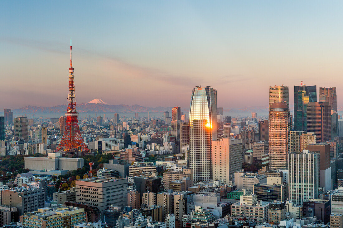 Elevated evening view of the city skyline and iconic Tokyo Tower, Tokyo, Japan, Asia