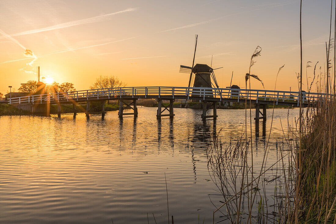 Bridge over the canal with windmills and reeds in the foreground at sunset, Kinderdijk, UNESCO World Heritage Site, Molenwaard municipality, South Holland province, Netherlands, Europe