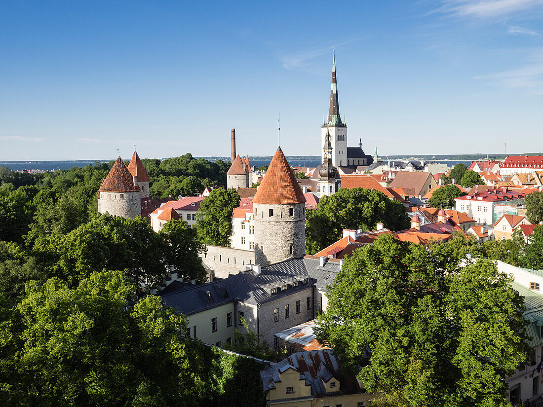 Cityscape view from the Patkuli viewing platform, Old Town, UNESCO World Heritage Site, Tallinn, Estonia, Baltic States, Europe