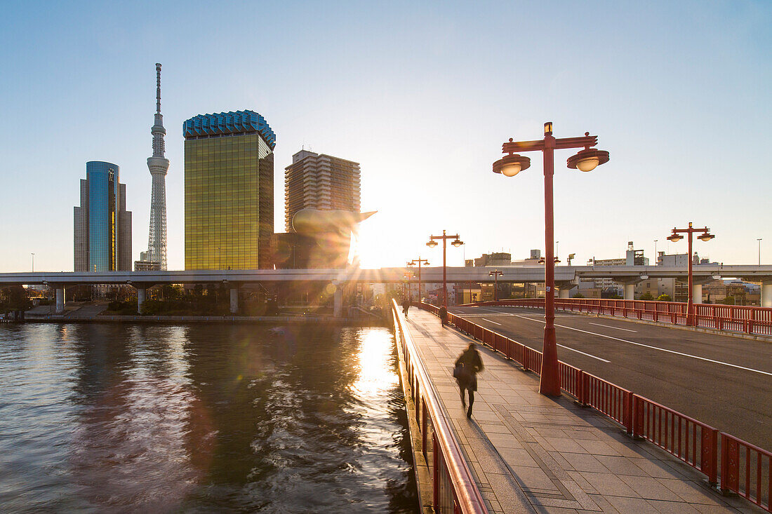 City skyline and the Skytree on the Sumida River at dawn, Tokyo, Japan, Asia