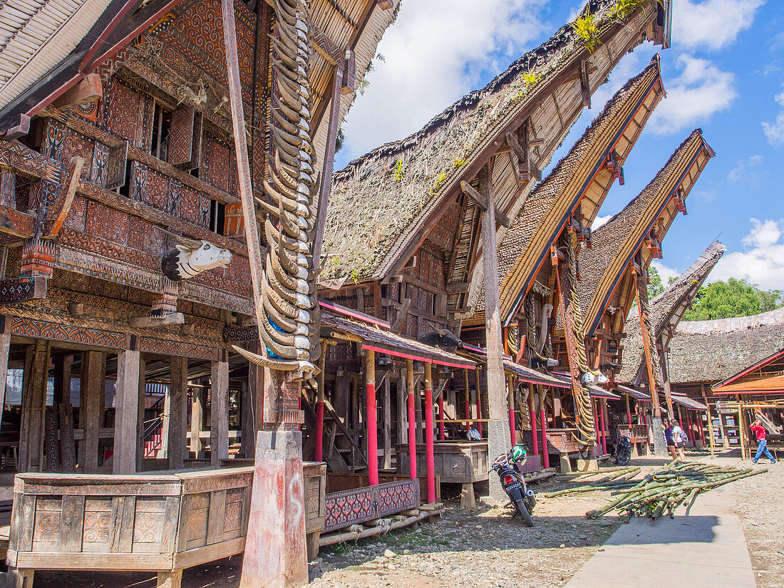 Row of traditional houses (tongkonan), Tana Toraja, Sulawesi, Indonesia, Southeast Asia, Asia