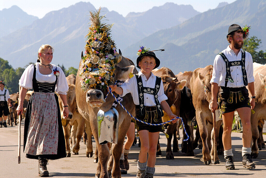 Viehscheid, the Annual Driving down of the Cattle from the summer mountain pastures into the valley, Schoellang, Allgau, Bavaria, Germany, Europe