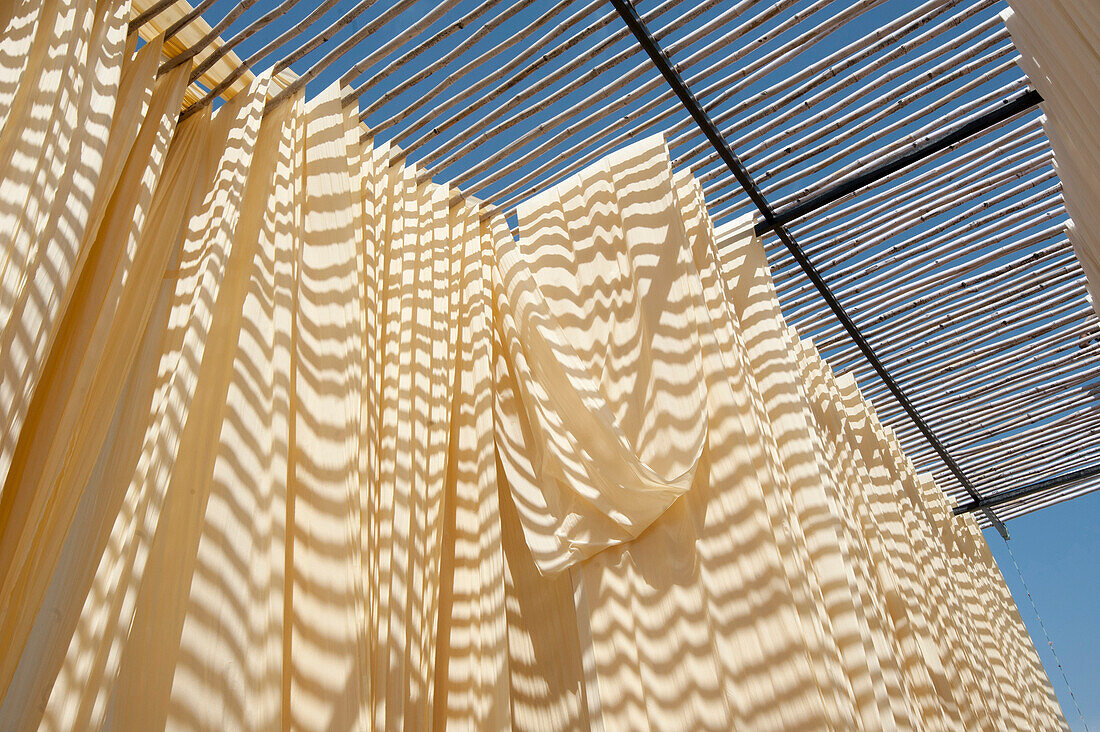 Washed bolts of cotton fabric hanging to dry on bamboo structure before being hand block printed, Bagru, Rajasthan, India, Asia