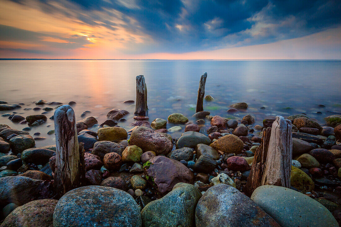 Pfähle, Pfahl, Ostsee, Brooker Wald, Mecklenburg Vorpommern, Groß Schwansee, Deutschland