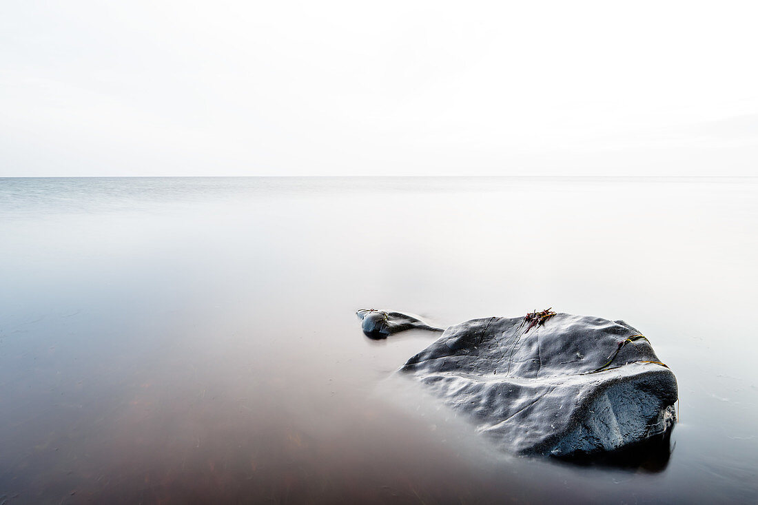 Stein, Steine, Ostsee, Bülk, Eckerförder Bucht, Schleswig Holstein, Deutschland