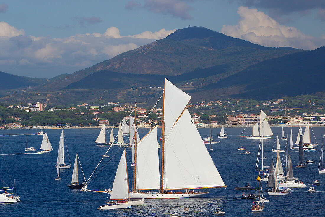 'France, Var department, regatta in the bay of Saint-Tropez during the ''Voiles de Saint-Tropez'' show'