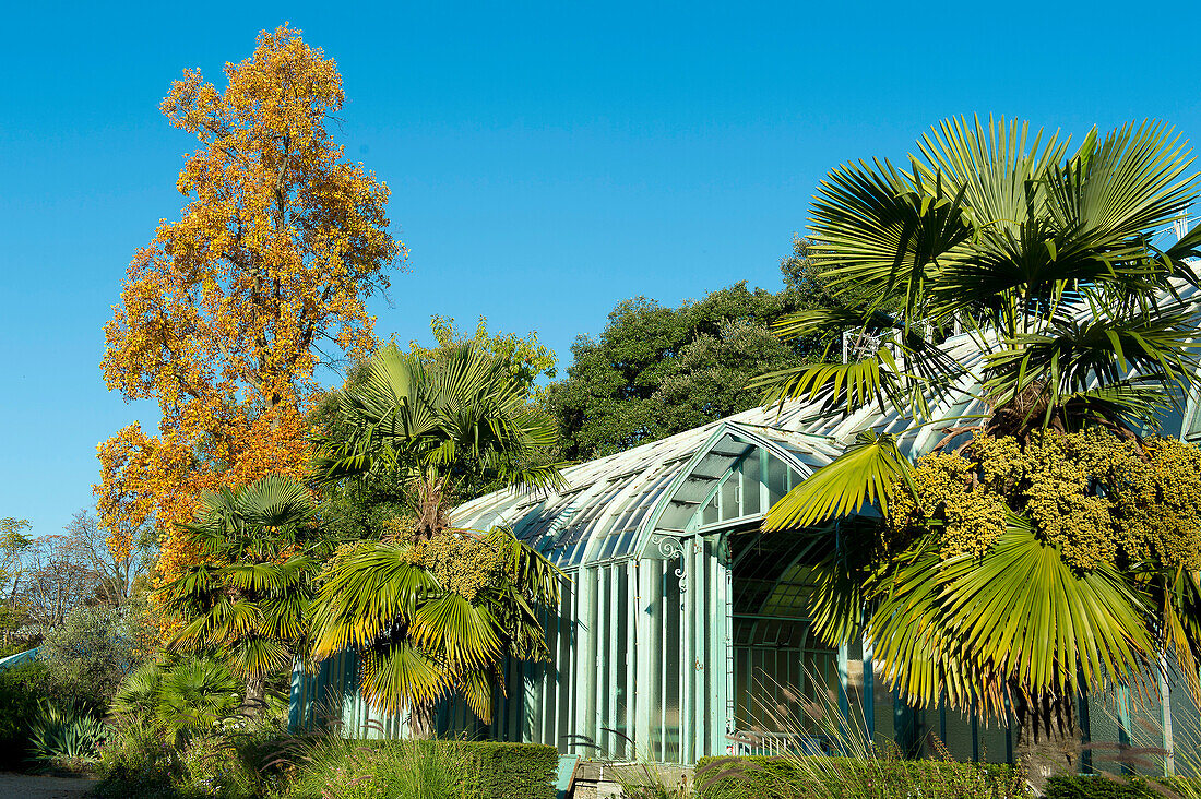 Paris 16th district. Garden of the greenhouses of Auteuil. The greenhouse of azaleas