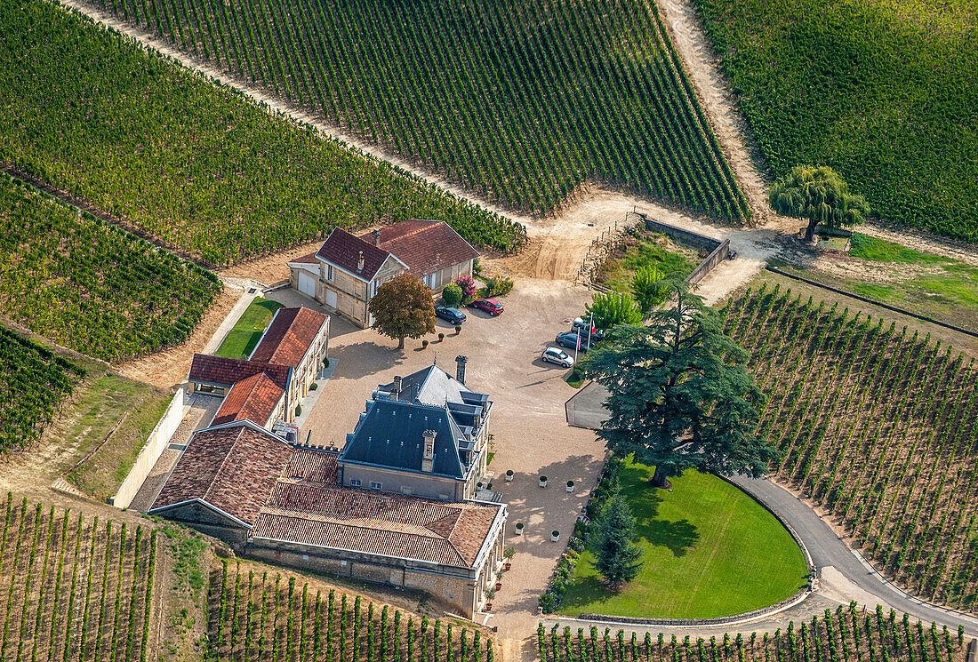 France, Gironde, France, aerial view of the Chateau Fonplegade in the middle of its AOC St Emilion vineyard (UNESCO World Heritage)