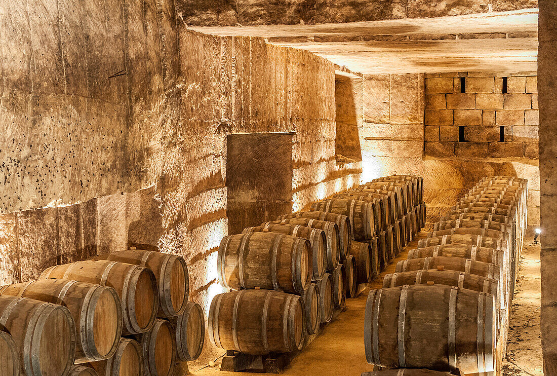 France, Gironde, Chateau de la Riviere in the AOC Fronsac wine-growing region, former limestone quarries used for barrel ageing