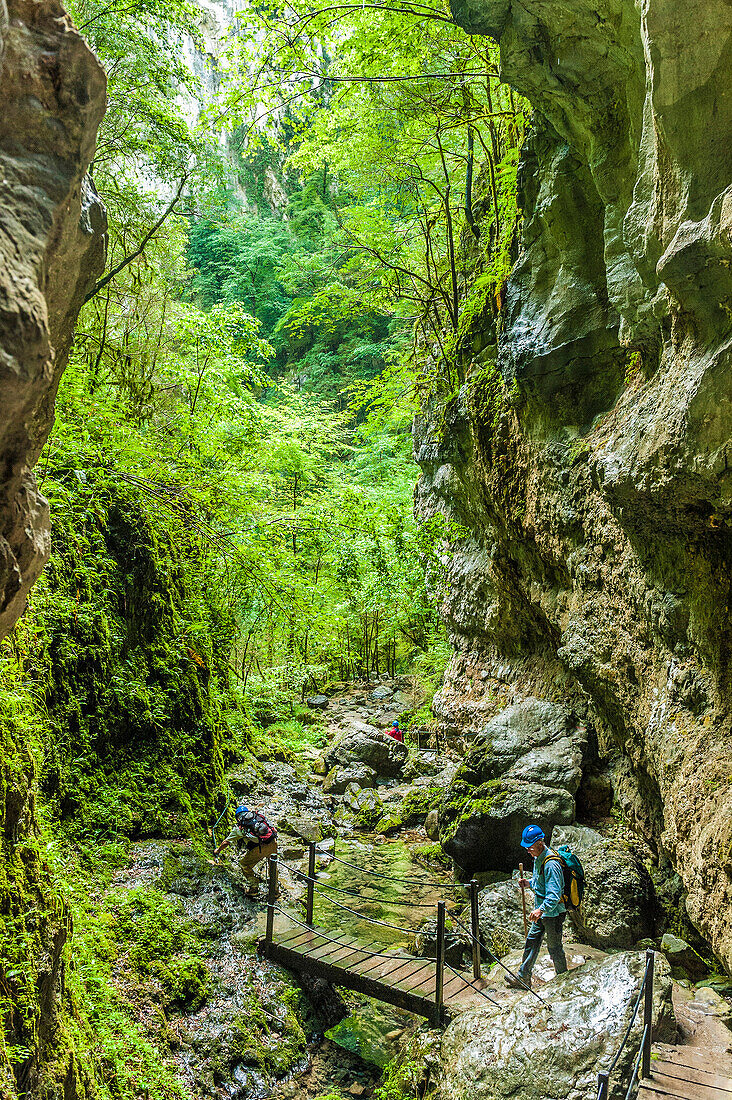 France, Pyrenees, Basque Country, Haute-Soule, Gorges de Kakuetta