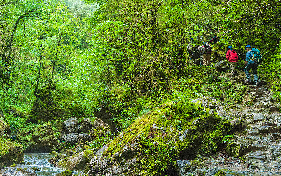 France, Pyrenees, Basque Country, Haute-Soule, Gorges de Kakuetta