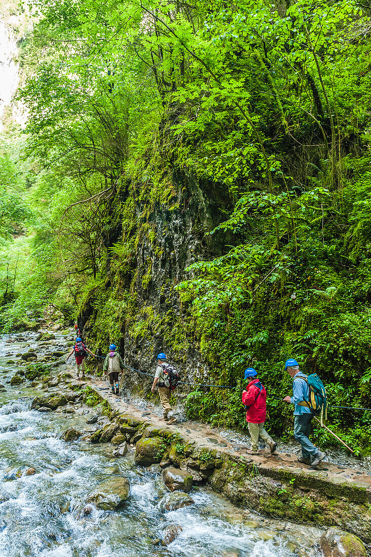 France, Pyrenees, Basque Country, Haute-Soule, Gorges de Kakuetta