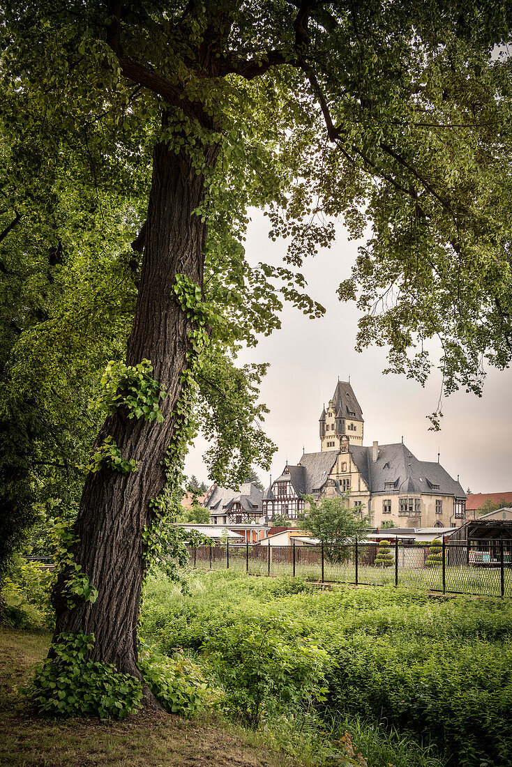 UNESCO Welterbe Fachwerkstadt Quedlinburg, Altstadt, Sachsen-Anhalt, Deutschland