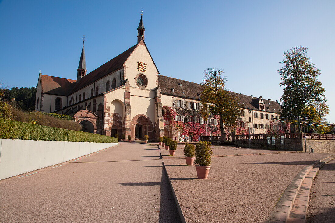 Kloster Bronnbach abbey along Romantische Straße romantic road through Unteres Taubertal in autumn, Bronnbach, near Wertheim, Spessart-Mainland, Franconia, Baden-Württemberg, Germany