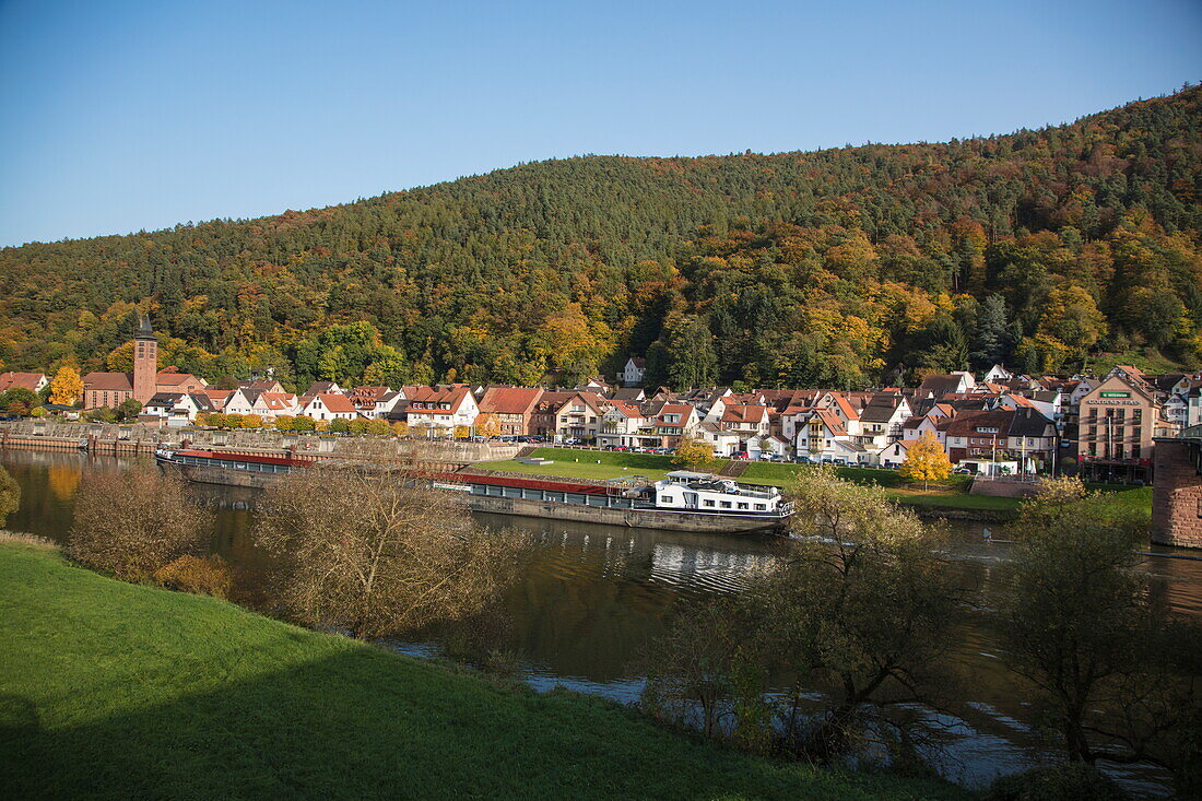 Freighter Solente on Main river passing town in autumn, Freudenberg, near Miltenberg, Spessart-Mainland, Franconia, Bavaria, Germany