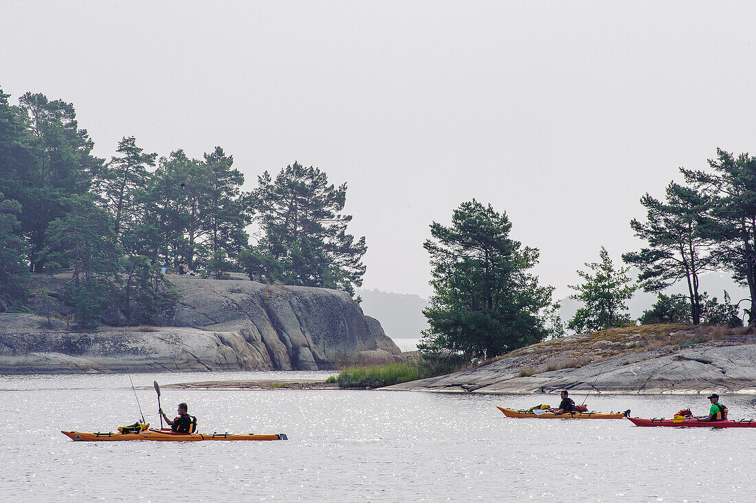 Paddlers in kayak at the Fiskhamn Flock Garden, Stockholm, Sweden