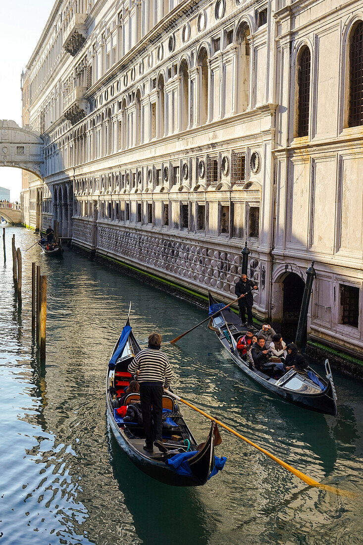 gondolas in venice, unesco world heritage site, venetia, venice, italy