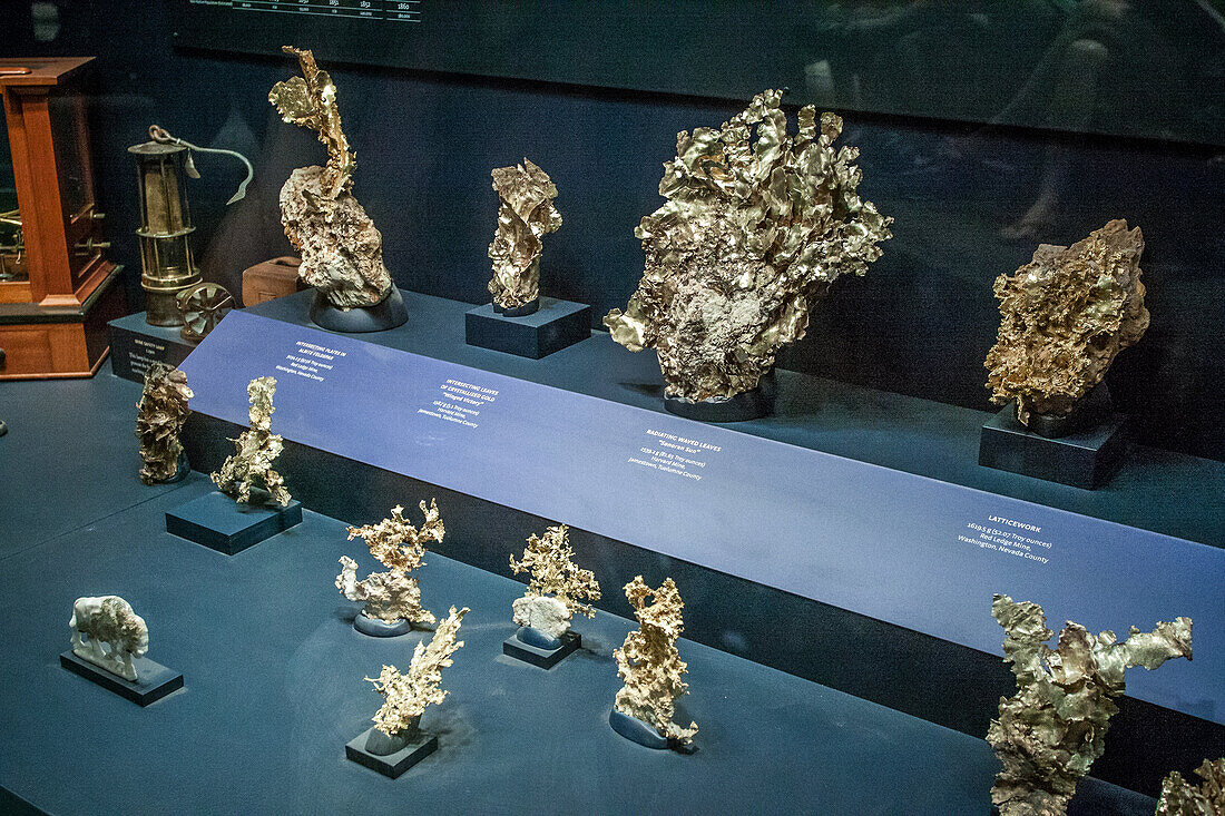 gold nuggets exhibited at the american museum of natural history, manhattan, new york city, state of new york, united states, usa
