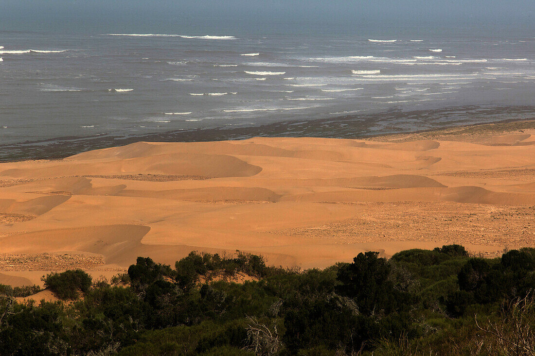 the dunes of of cape sim, essaouira, mogador, atlantic ocean, morocco, africa