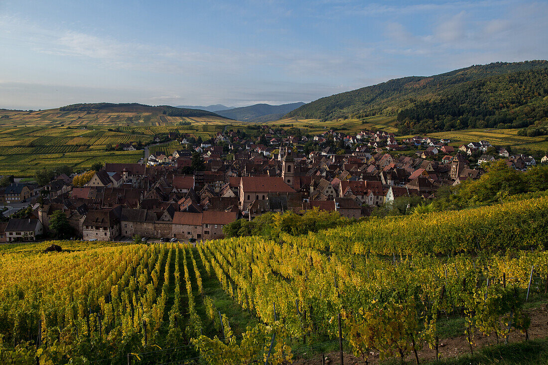 village of riquewihr in autumn, (68) haut-rhin, eastern france