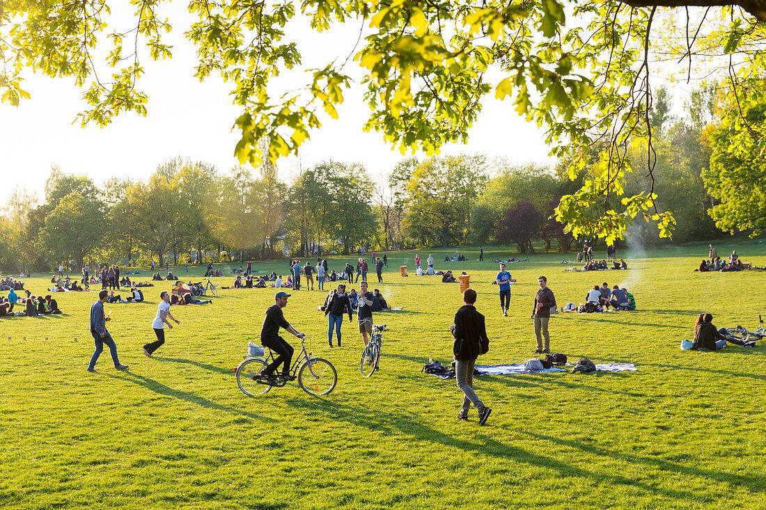 Liegewiese, Park, grüne Stadt, Sommer, Alaunplatz, Alaunpark in der Neustadt, Dresden-Neustadt, Dresden, Sachsen, Deutschland, Europa