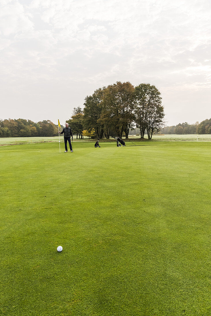 Golfspieler auf dem Grün beim putten auf einem Platz bei Hamburg, Norddeutschland, Deutschland